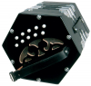 Concertina D-20